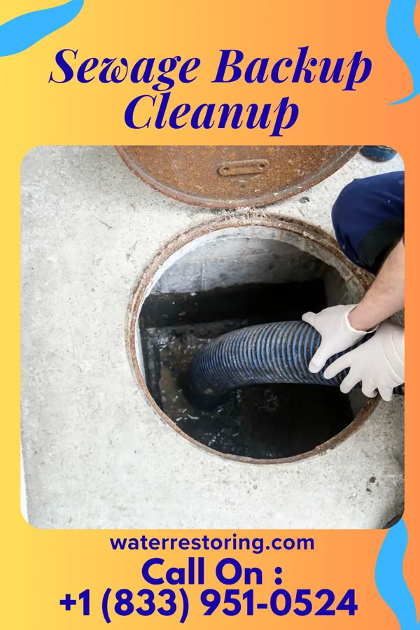 Sewage Backup Cleanup in Hobson City, AL